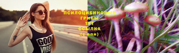 амф Богородицк